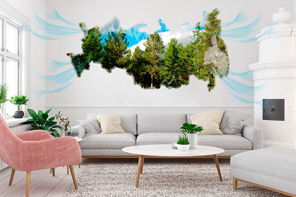 Дерево в интерьере. Полезные свойства